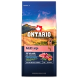 Ontario Large Adult Lamb with Brown rice12 kg kg